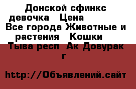 Донской сфинкс девочка › Цена ­ 15 000 - Все города Животные и растения » Кошки   . Тыва респ.,Ак-Довурак г.